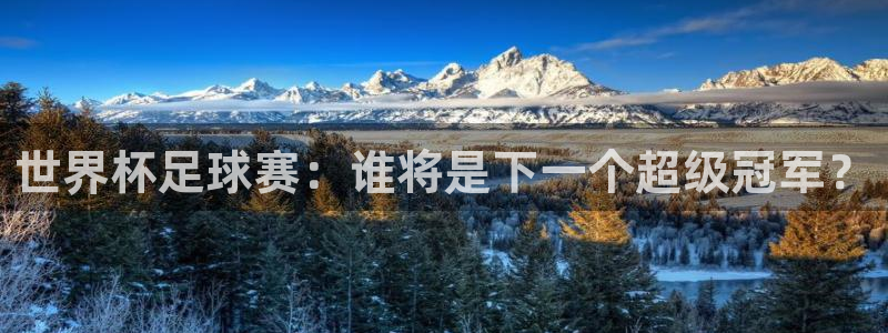 2026年世界杯赛程时间表格:世界杯足球赛:谁将是下一个超级冠军?