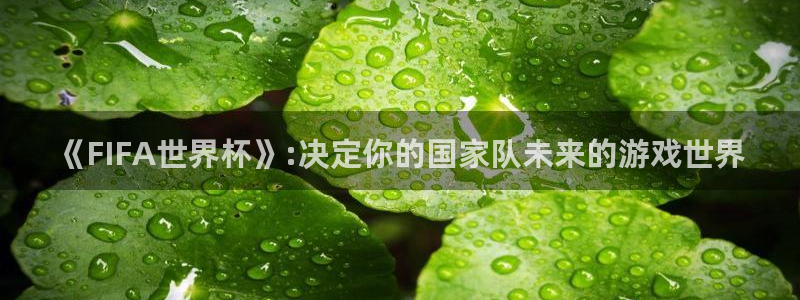 世预赛赛程表:《FIFA世界杯》:决定你的国家队未来的游戏世界