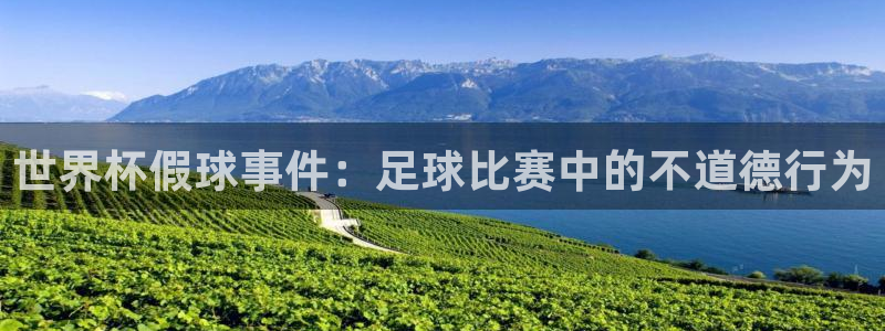世界杯官网:世界杯假球事件:足球比赛中的不道德行为