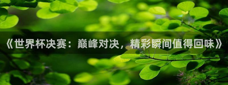世界杯足球赛:《世界杯决赛:巅峰对决,精彩瞬间值得回味》