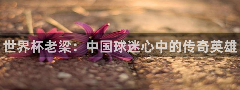 亚洲杯比赛直播:世界杯老梁:中国球迷心中的传奇英雄