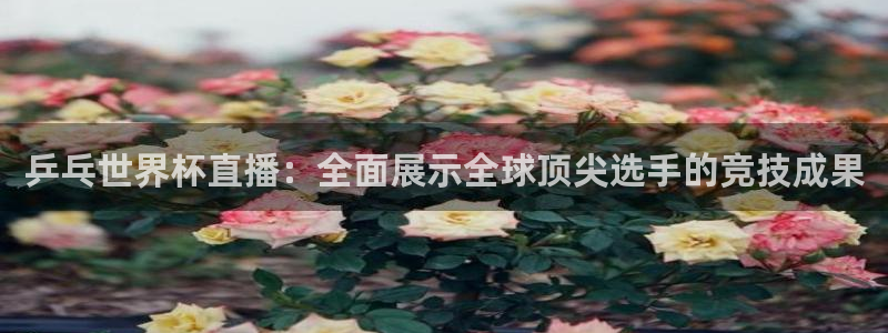 世界杯在线直播:乒乓世界杯直播:全面展示全球顶尖选手的竞技成果