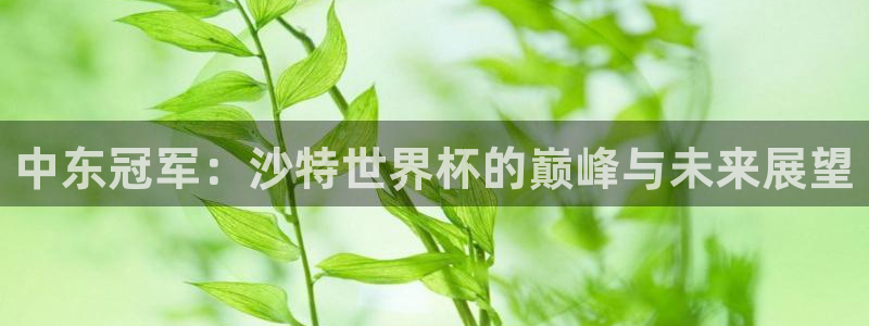 世界杯比赛时间:中东冠军:沙特世界杯的巅峰与未来展望