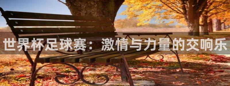 男足世界杯预选赛赛程:世界杯足球赛:激情与力量的交响乐