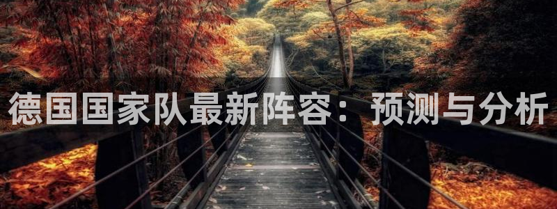 世界杯第一场比赛:德国国家队最新阵容:预测与分析