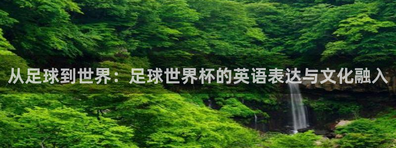 世界杯足球直播:从足球到世界:足球世界杯的英语表达与文化融入