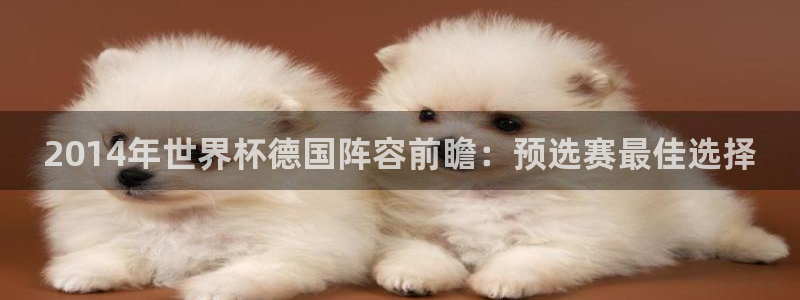 世界杯足球赛2026:2014年世界杯德国阵容前瞻:预选赛最佳选择